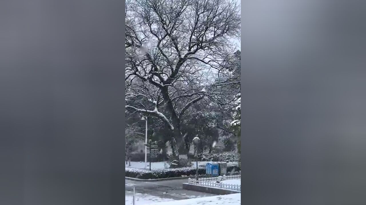 寒潮将至!本周末将迎来大风降温及雨雪天气