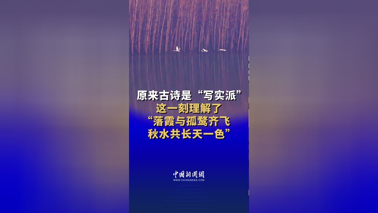 原来古诗是“写实派”,这一刻理解了“落霞与孤鹜齐飞,秋水共长天一色”