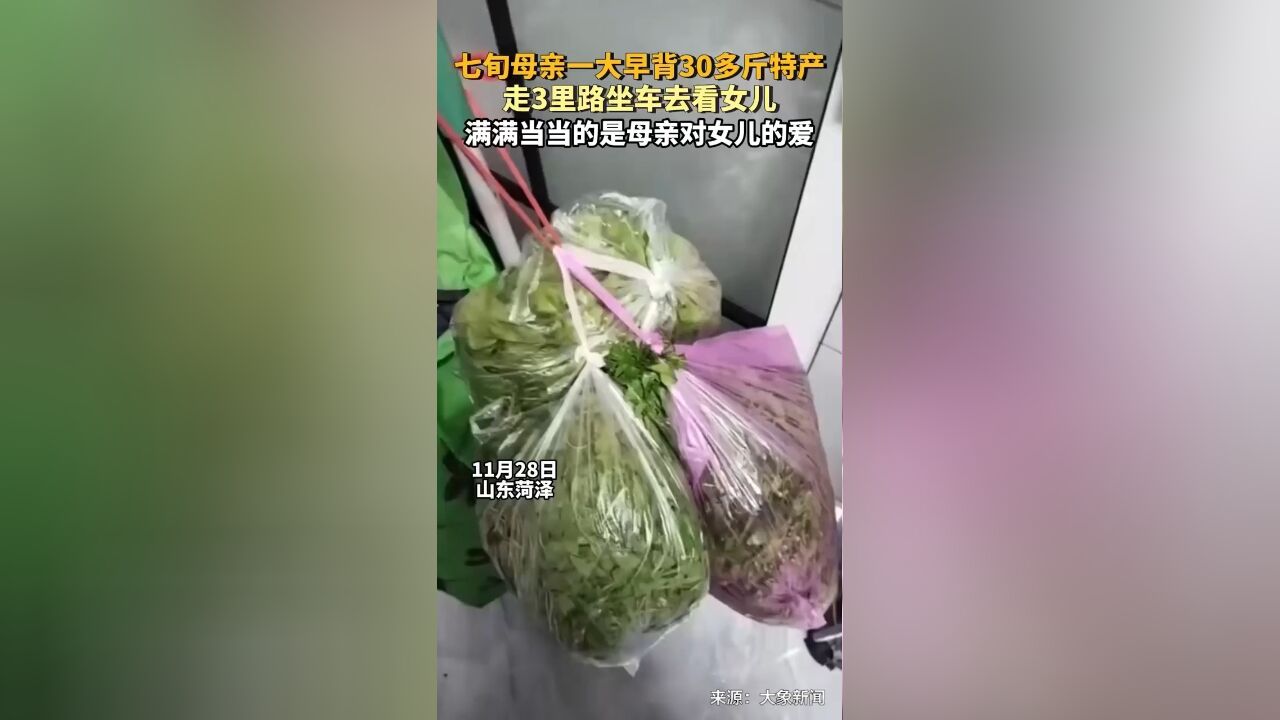 七旬母亲一大早背30多斤特产,走3里路坐车去看女儿,满满当当的是母亲对女儿的爱!