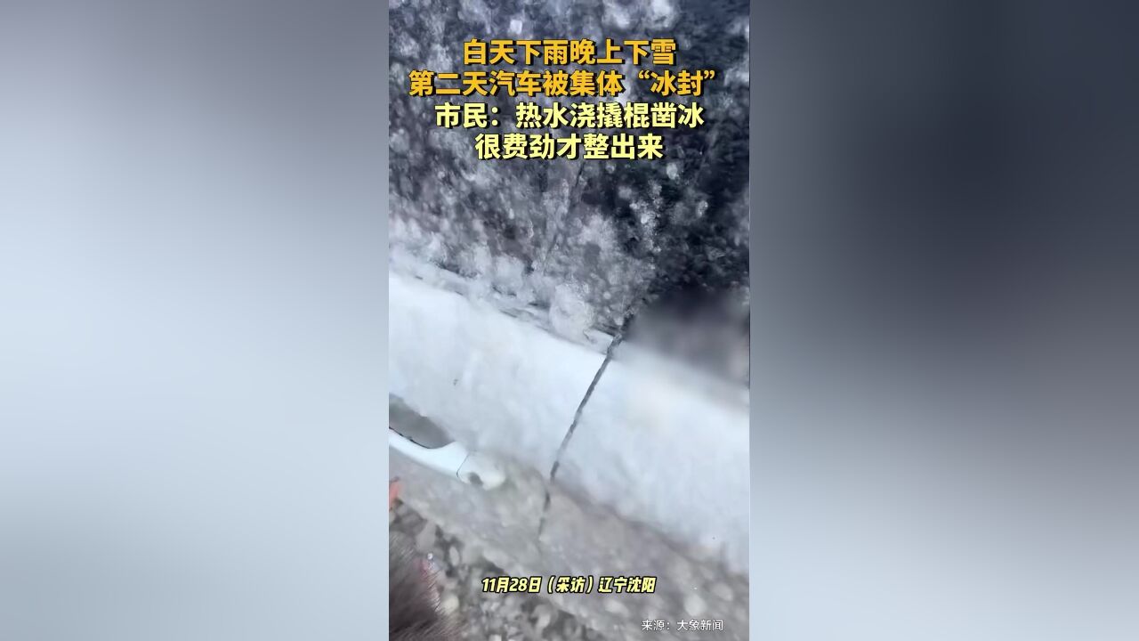 白天下雨晚上下雪第二天汽车被集体“冰封”,市民:热水浇,撬棍凿冰,很费劲才整出来