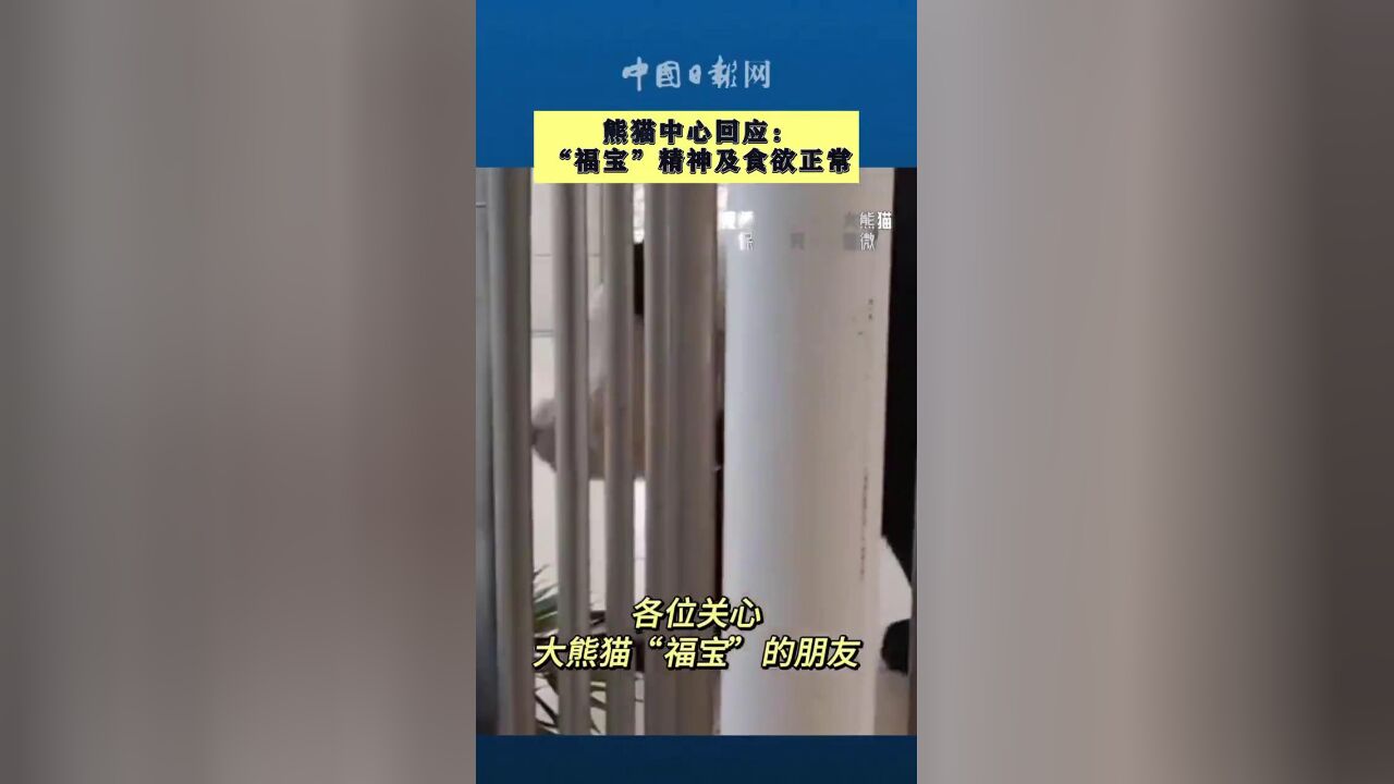 熊猫中心回应:福宝挺好滴