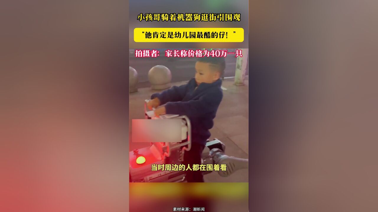 小孩哥骑着机器狗逛街引围观“他肯定是幼儿园最酷的仔!”拍摄者:家长称价格为40万一只