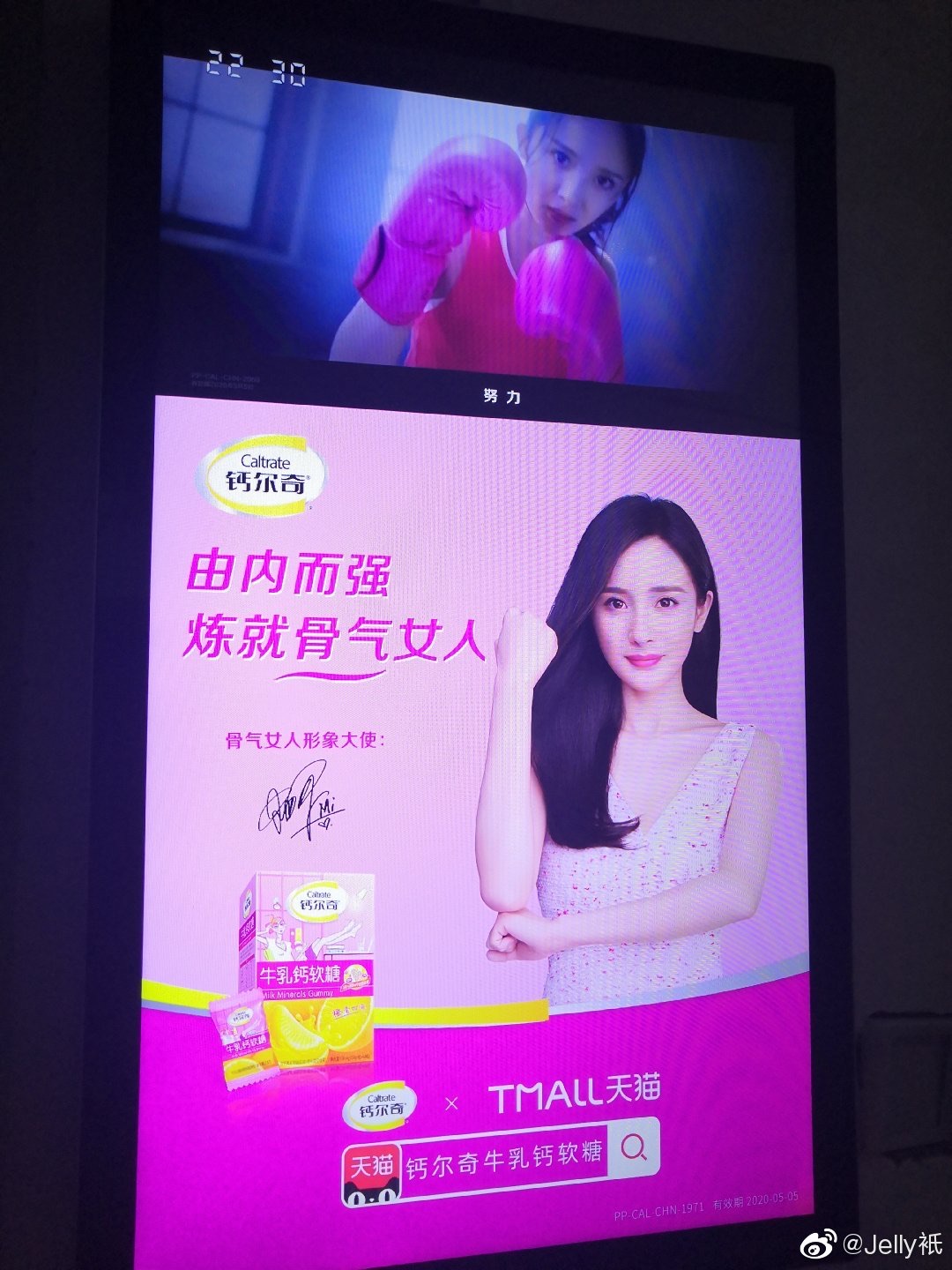 钙尔奇品牌形象代言人杨幂女神支持