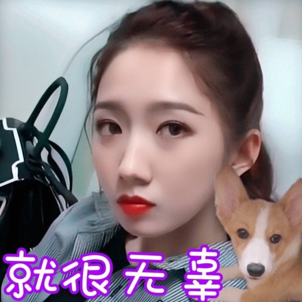 手机里的孟美岐表情包