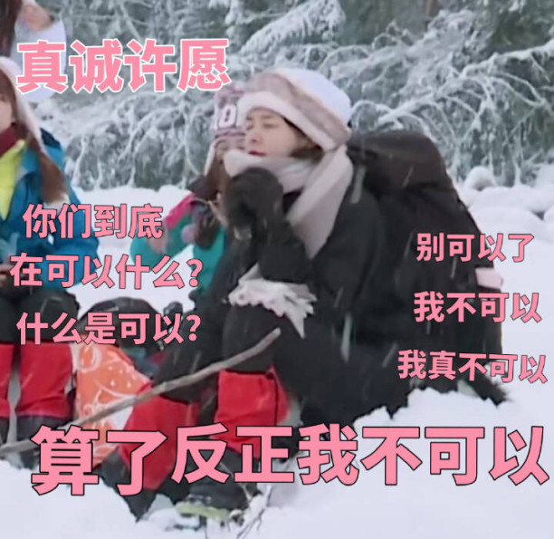 手机里的傅菁表情包