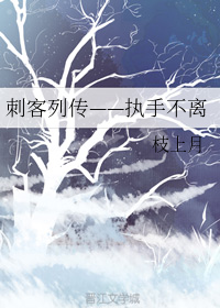 （BL/刺客列傳同人）執手不離