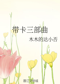 （火影同人）带卡三部曲