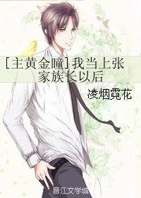 （BG/主黃金瞳同人）我當上張家族長以後