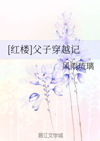 （紅樓同人）[紅樓]父子穿越記