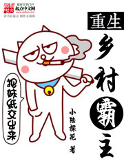 重生鄉村霸主