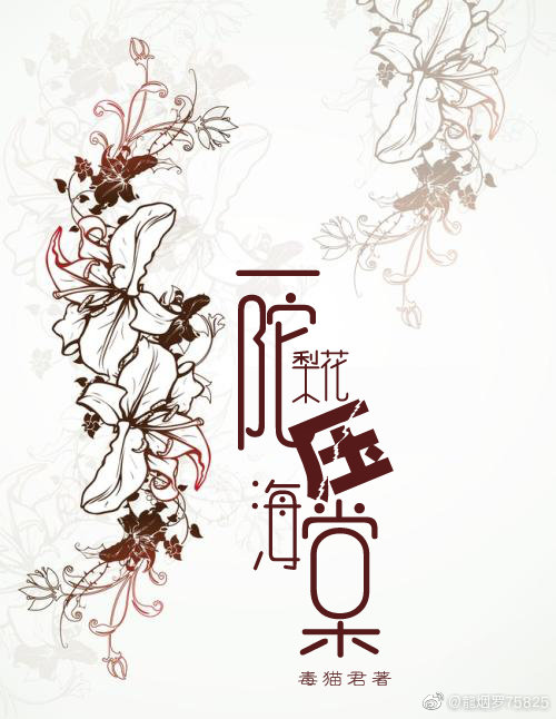 一陀梨花压海棠