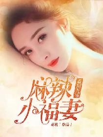 重回九零麻辣小福妻