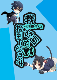 （BG/无限同人）无限之我捡到一只叫佐助的猫