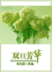 雙旦芳華GL