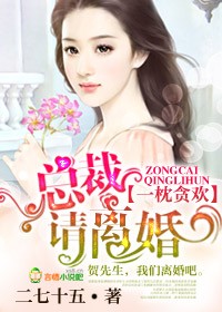 总裁请离婚