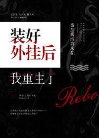 裝好外掛後我重生了