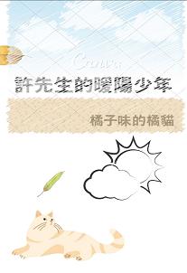 许先生的暖阳少年