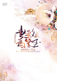 （BG/清穿+紅樓同人）[清穿+紅樓]趙敏為黛玉