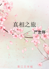 真相之旅