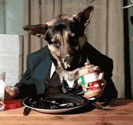 真canine和假canine：圈子里外流传最广最多但也可能是误解最大的类型