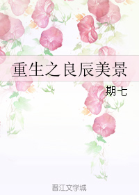 重生之良辰美景