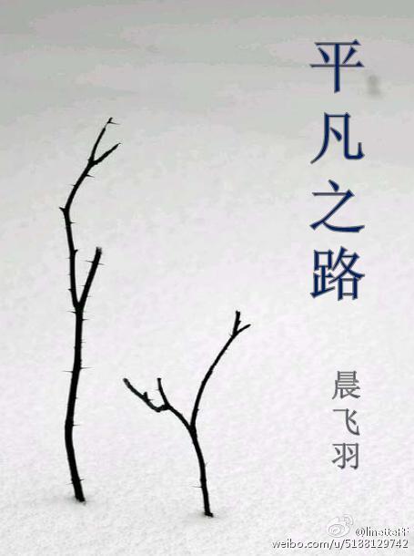 （BG/火影同人）火影之平凡之路