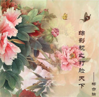 （BG/综影视同人）综影视之打脸天下