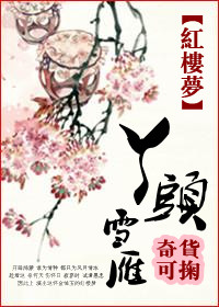 （红楼同人/BG）红楼之丫头雪雁
