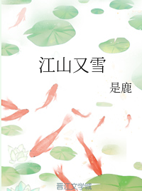 江山又雪