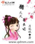 [网游]桃夭夭寻夫记