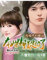 逃婚中的邂逅:本姑娘賴定你了