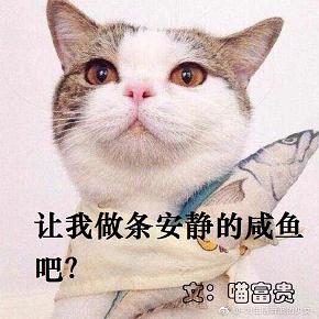 让我做条安静的咸鱼吧？