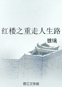 （BG/红楼同人）红楼之重走人生路