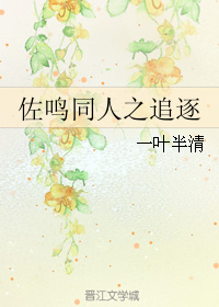 （BL/火影同人）佐鸣同人之追逐
