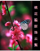 桃花蹁跹饰云鬓
