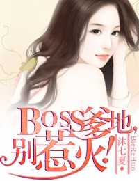 BOSS爹地，别惹火