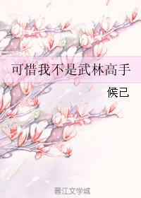 可惜我不是武林高手