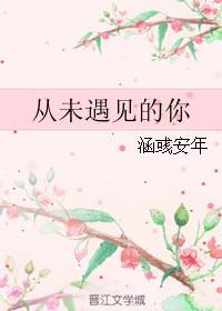 从未遇见的你