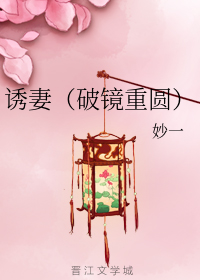 诱妻（破镜重圆）