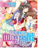【BG/守護甜心同人】守護甜心之血染薔薇