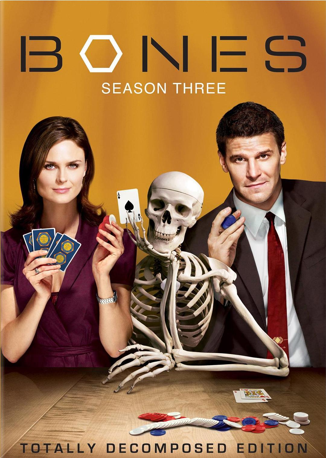 Bones Season 3 / 凶骨 第三季海报
