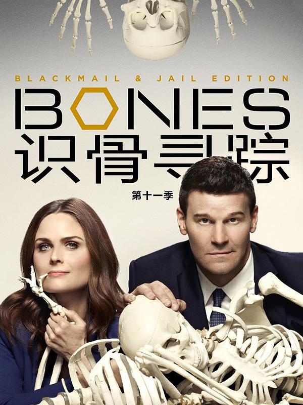 Bones Season 11海报
