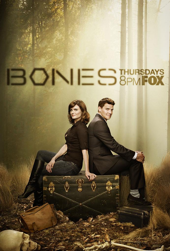 Bones Season 8 / 凶骨 第八季海报