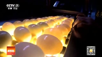 到底是什么产业这么赚钱，年产值8亿余元，带动贫困户5000多家