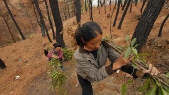 以后农村的“高利润”项目，趁现在干的人不多，先下手先致富！