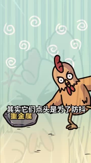 谁说鸡头里都是重金属不能吃的?