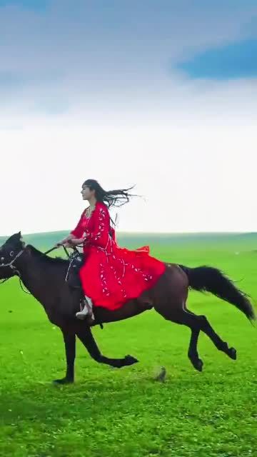 西风走马浪迹天涯