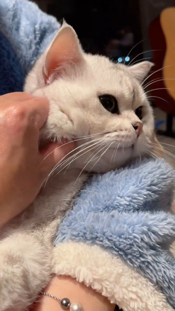 腮帮子如果不拿来捏,那真是太浪费了