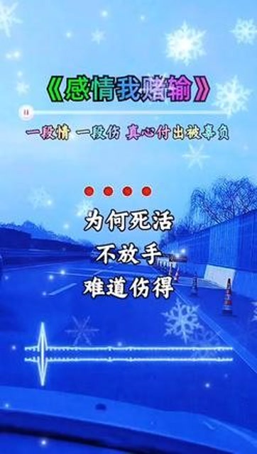 一段情一段伤,进退两难好迷茫,真心付出被辜负,感情我赌输