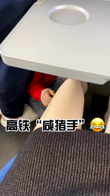 高铁上被摸大腿,我长这么大,第一次碰上